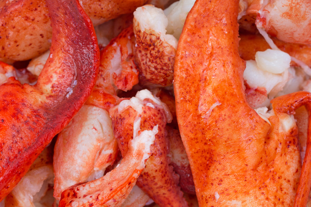 Atlantic Lobster Meat